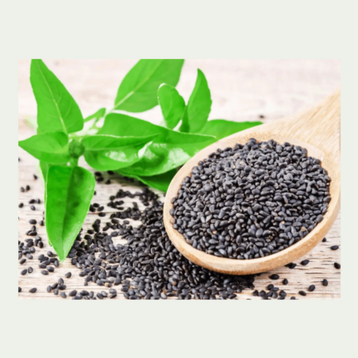 Basil Seeds - 250g