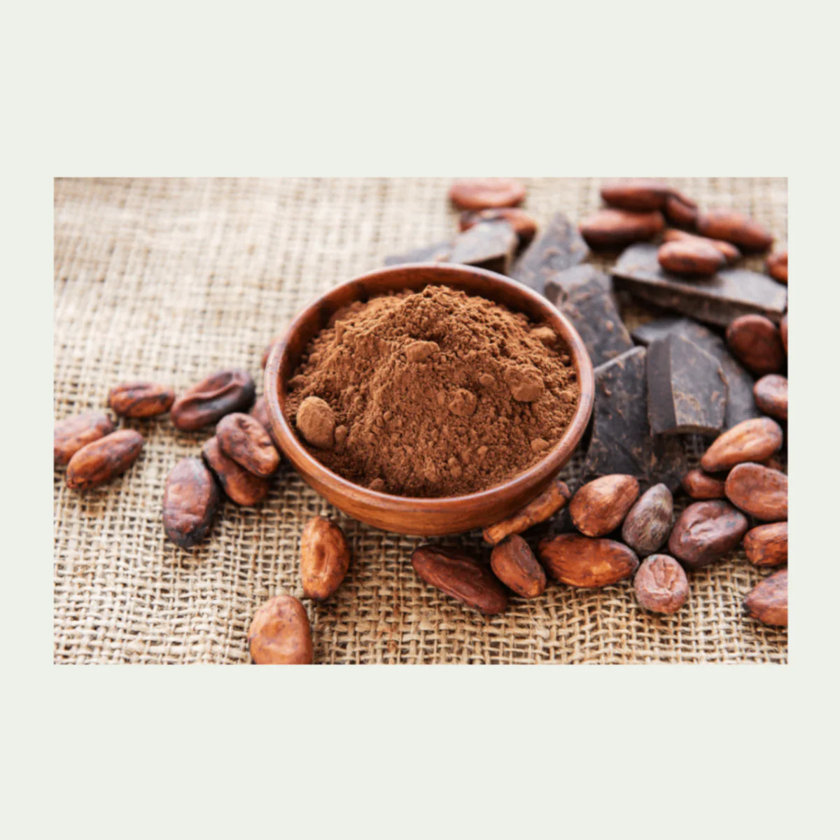Coco Powder - 500g