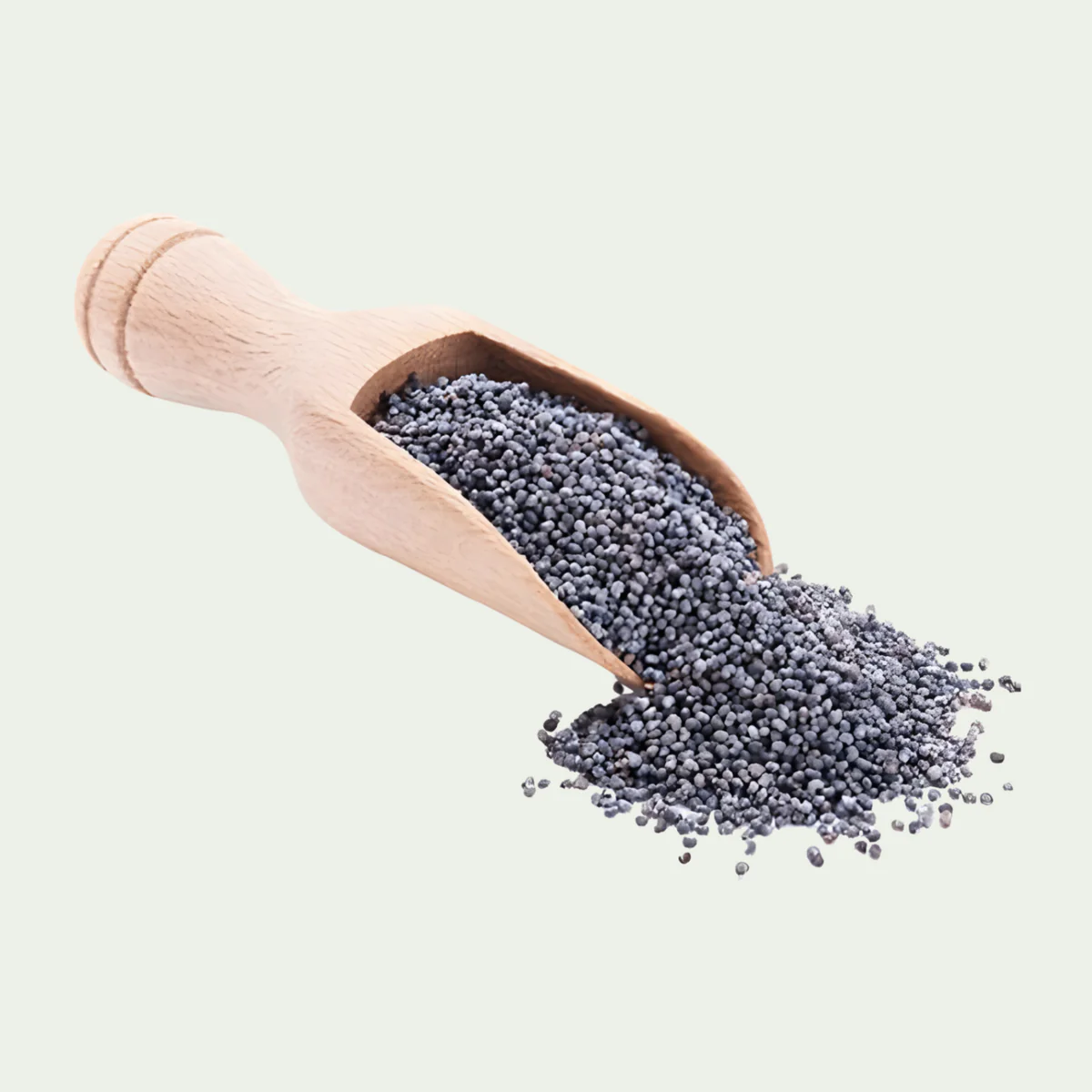 Poppy Seeds - 500g