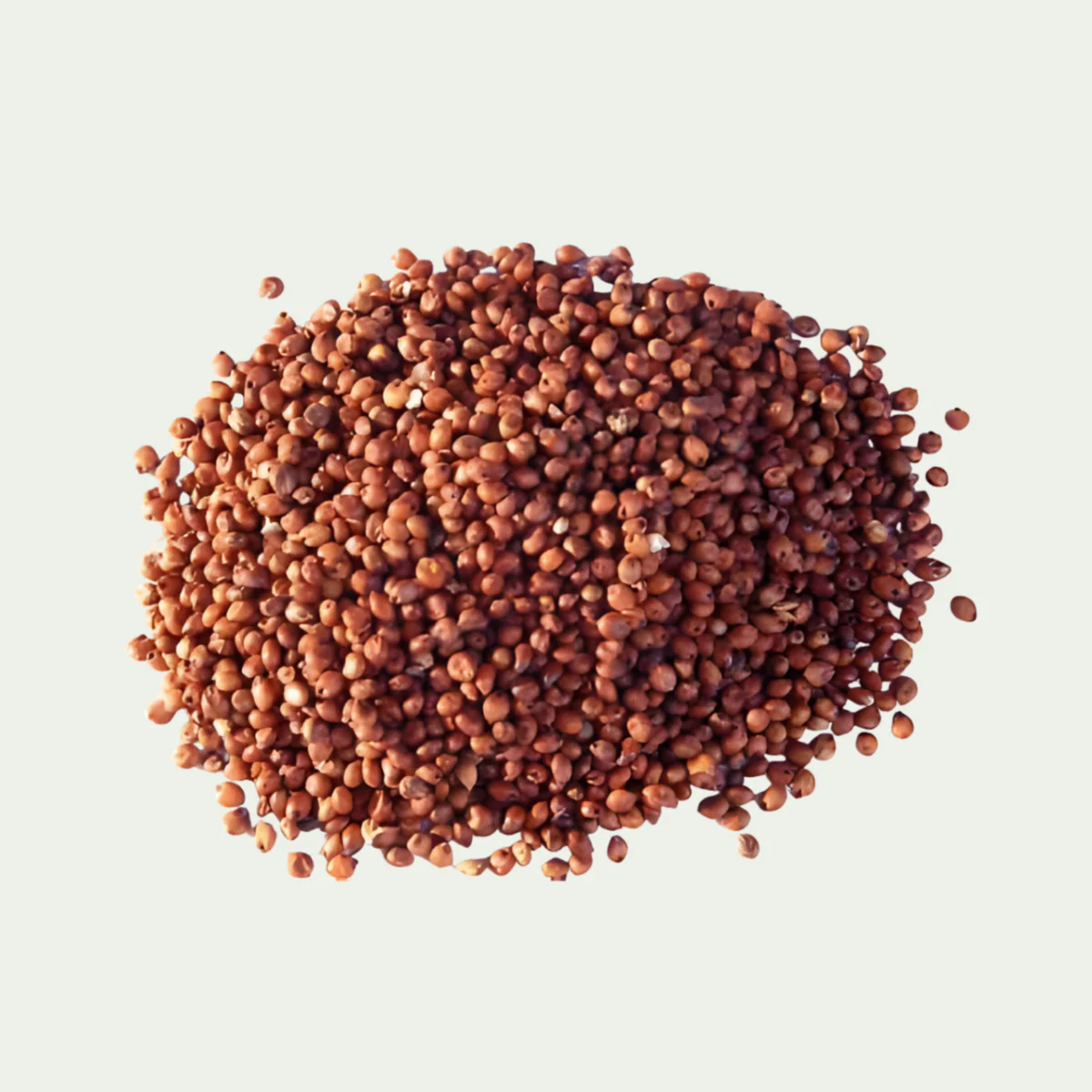 Red Sorghum - 500g